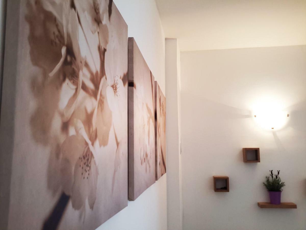 Albert Home Karlovac