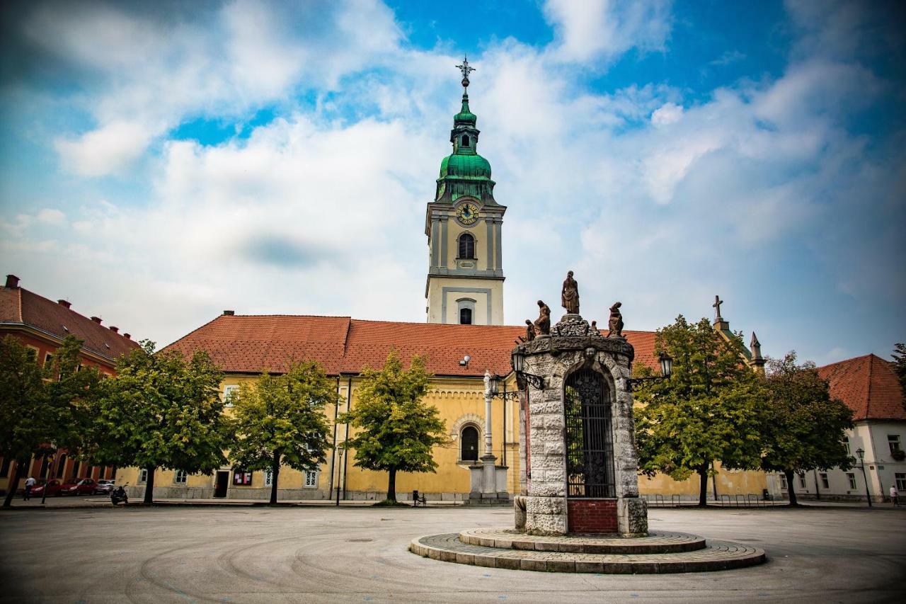 Albert Home * Karlovac